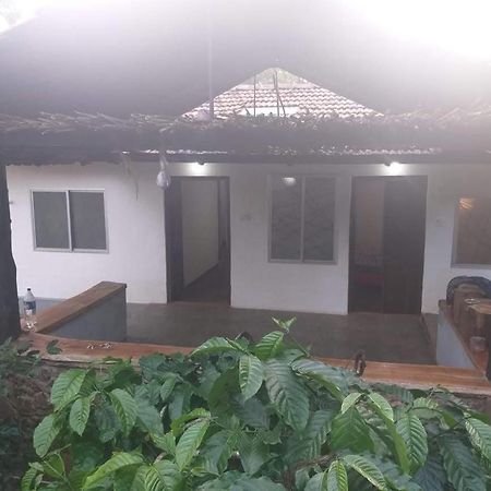 Durf Green Madikeri Ngoại thất bức ảnh