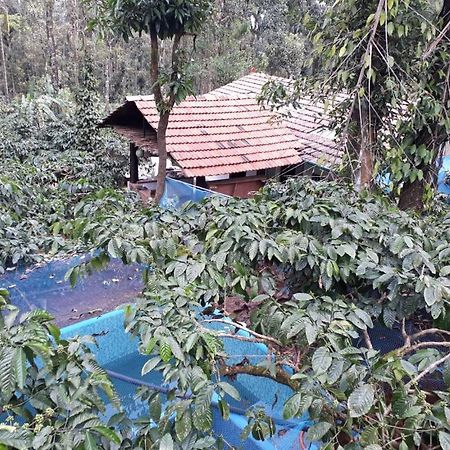 Durf Green Madikeri Ngoại thất bức ảnh