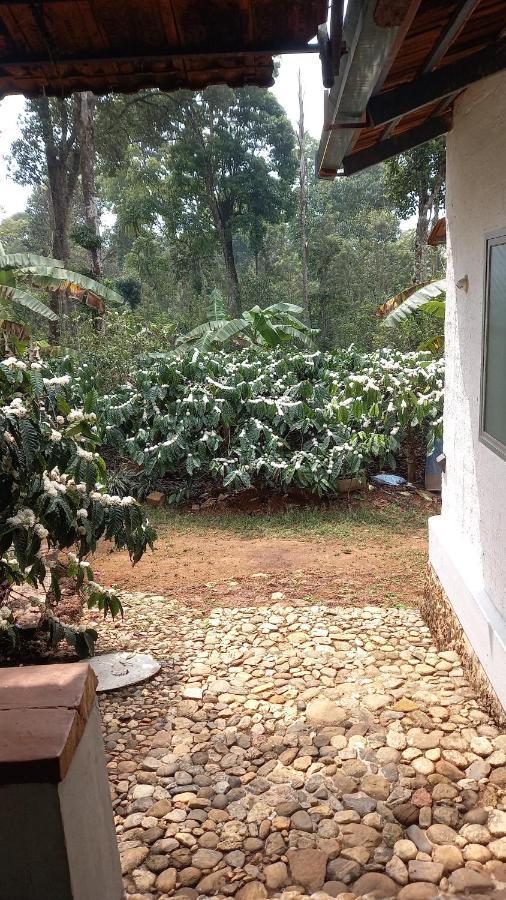 Durf Green Madikeri Ngoại thất bức ảnh